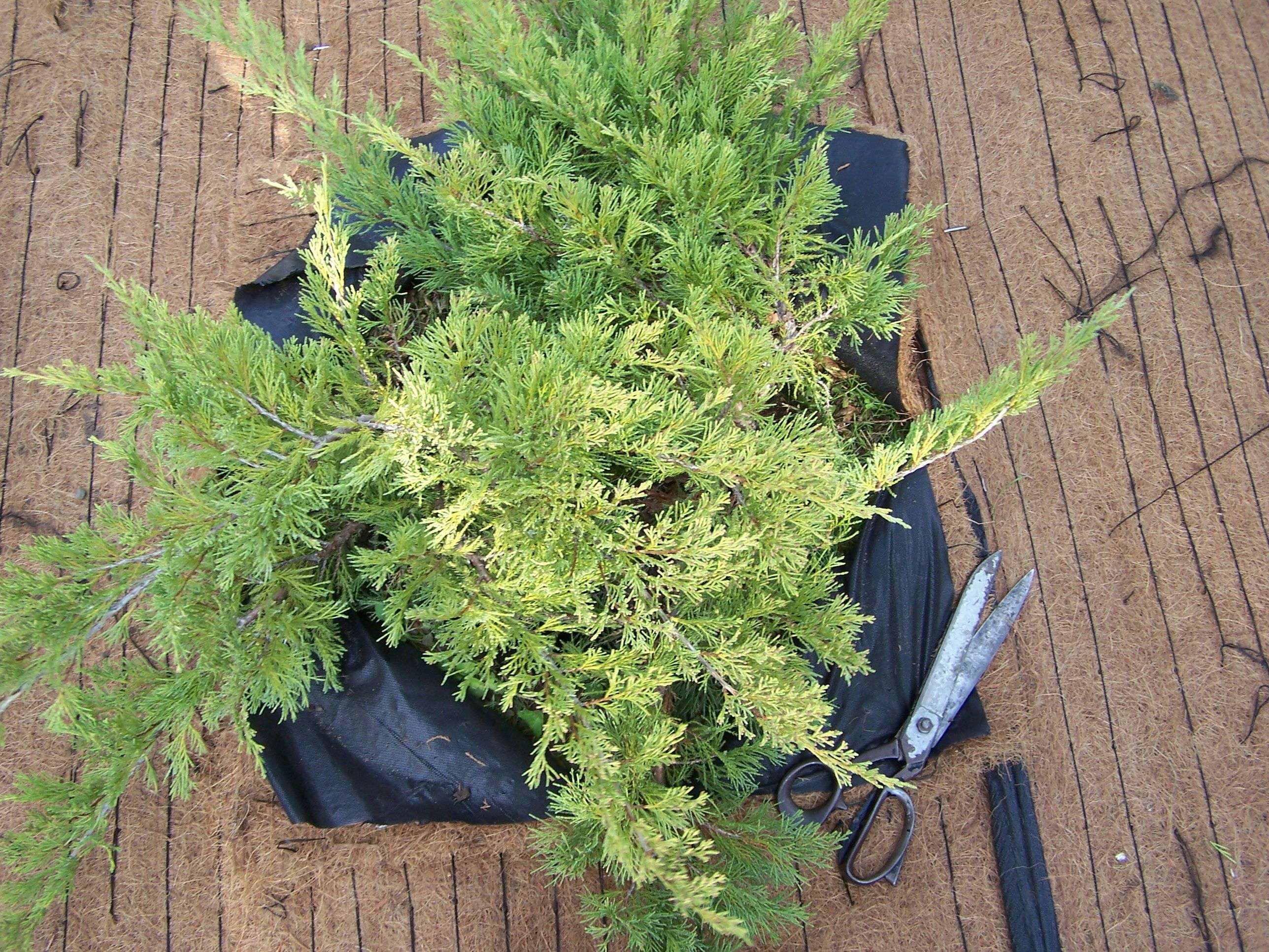 Mulchmatte K-PM